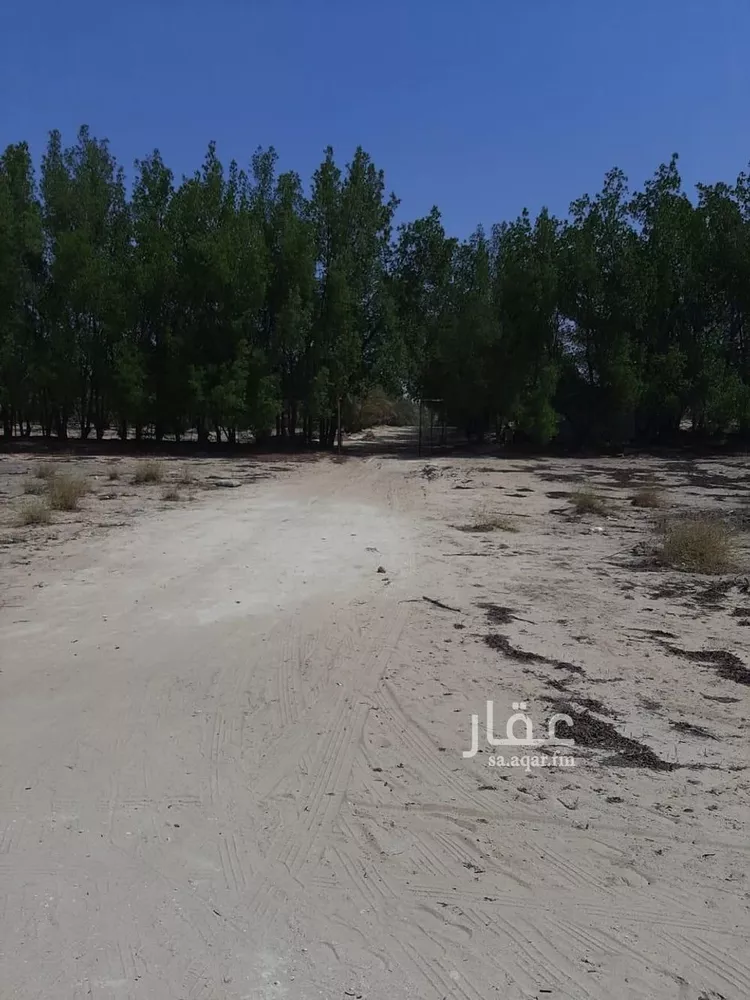 مزرعة للبيع في شارع التابلاين, مدينة الجبيل, المنطقة الشرقية صورة 2