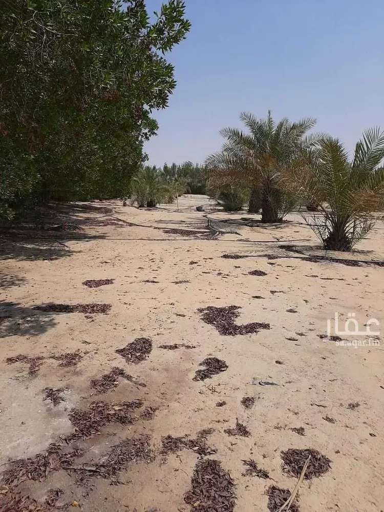 مزرعة للبيع في شارع 0000, حي مزارع الطفيح, مدينة الجبيل, المنطقة الشرقية 9