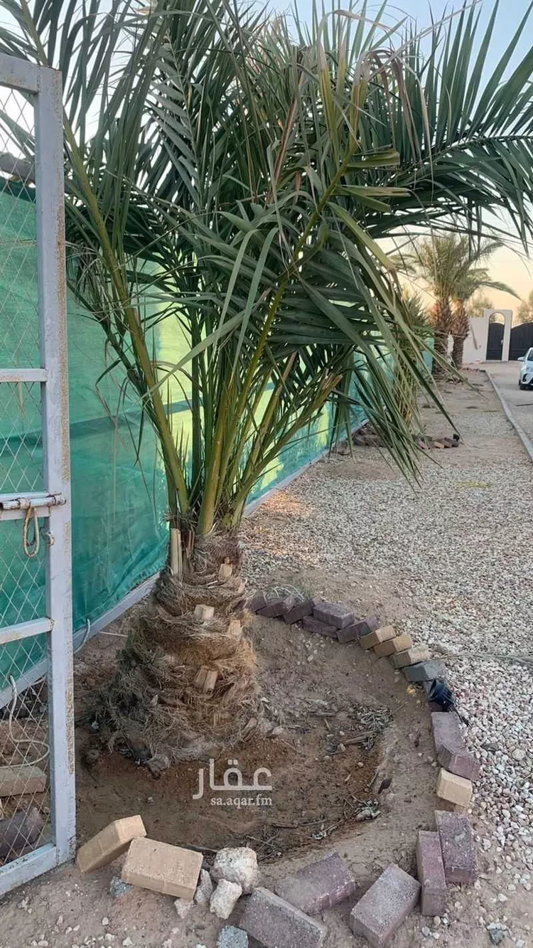 مزرعة للبيع في حفر الباطن ، حفر الباطن صورة 4