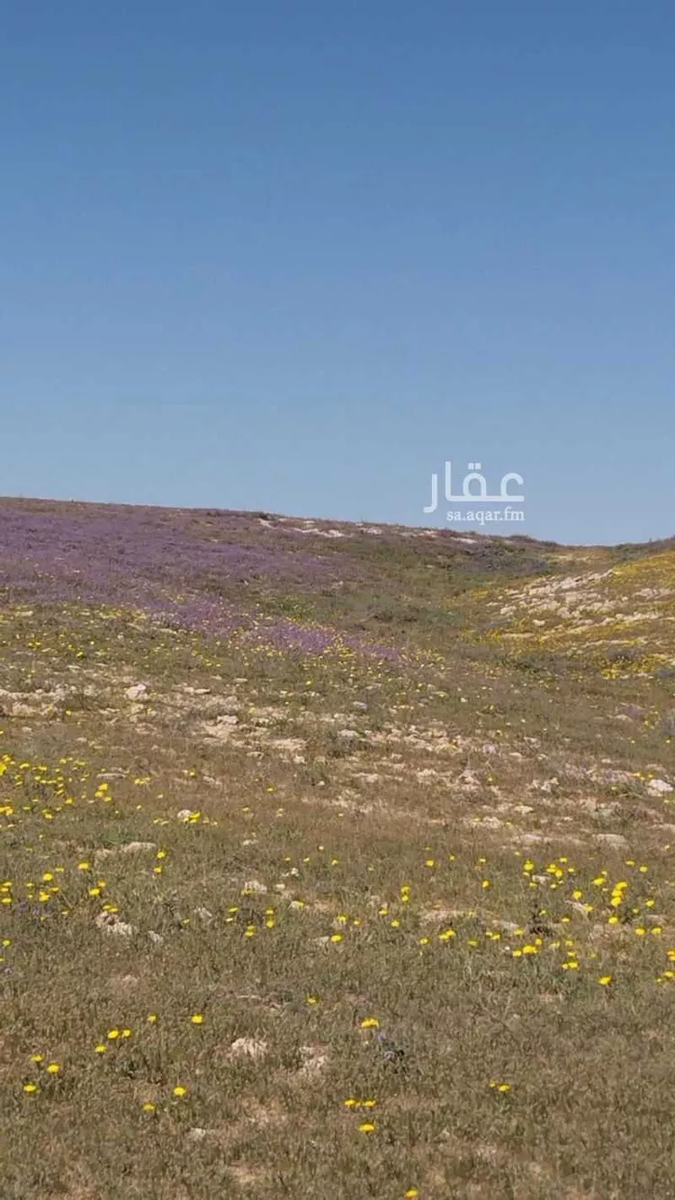 فيلا للبيع في شارع القيروان, حي غرناطة, مدينة الغاط, منطقة الرياض صورة 2