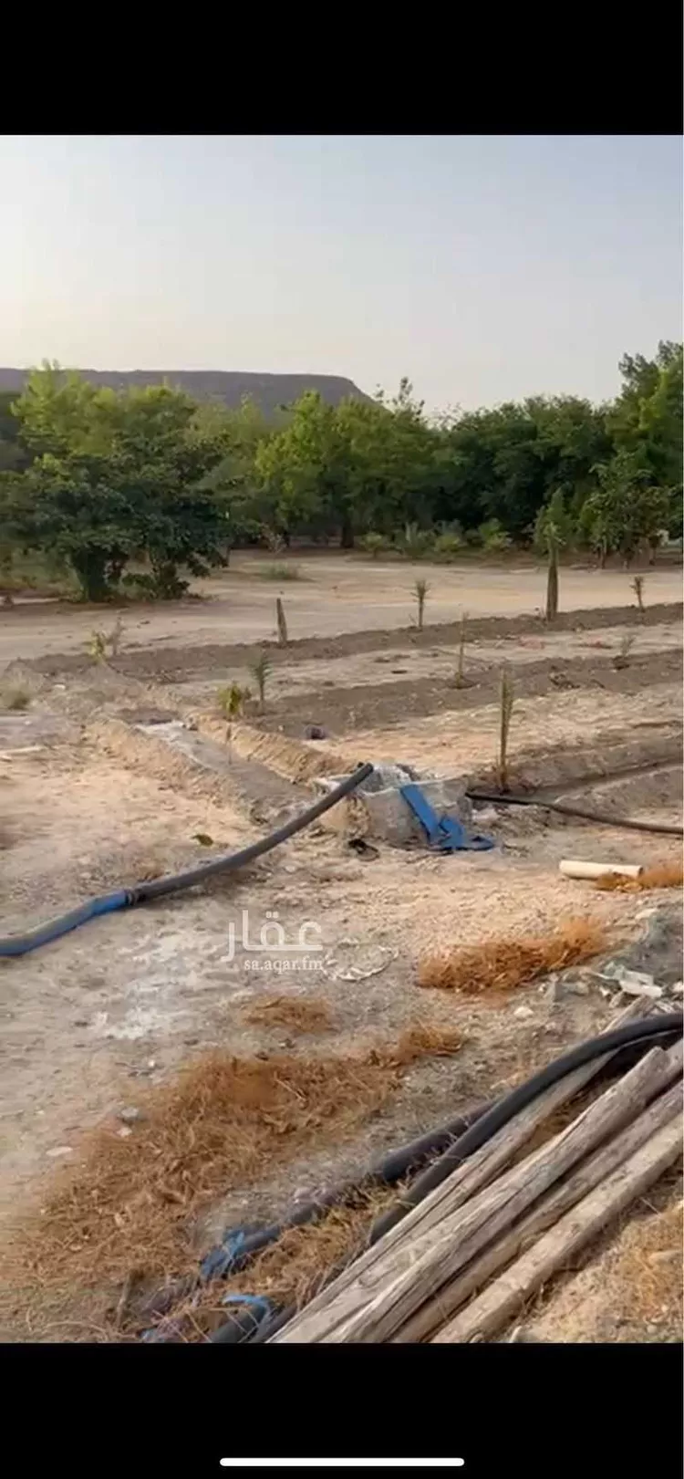 أرض للبيع في مدينة عين الخيف, منطقة مكة المكرمة 6