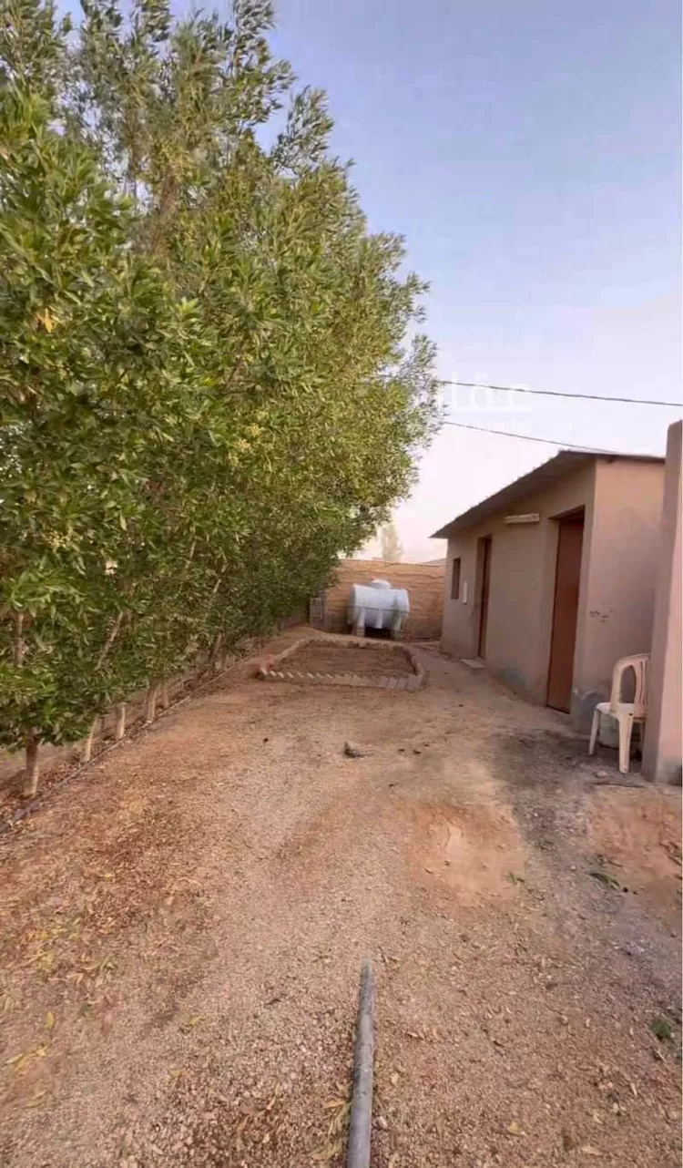 مزرعة للبيع في حي مزارع قصور النقعه, مدينة مزارع قصور النقعه, منطقة الرياض