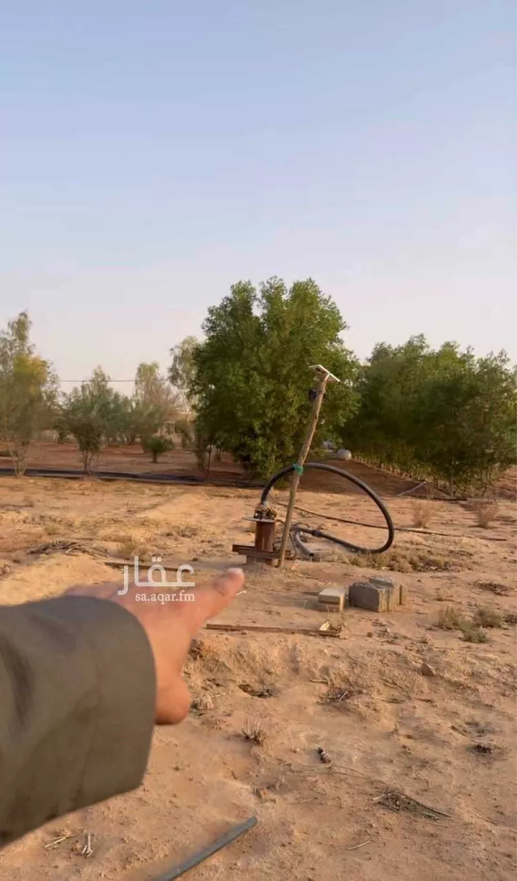 مزرعة للبيع في حي مزارع قصور النقعه, مدينة مزارع قصور النقعه, منطقة الرياض صورة 2