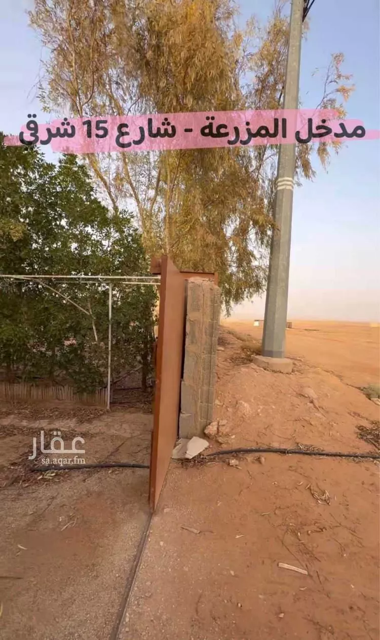 مزرعة للبيع في حي مزارع قصور النقعه, مدينة مزارع قصور النقعه, منطقة الرياض صورة 5