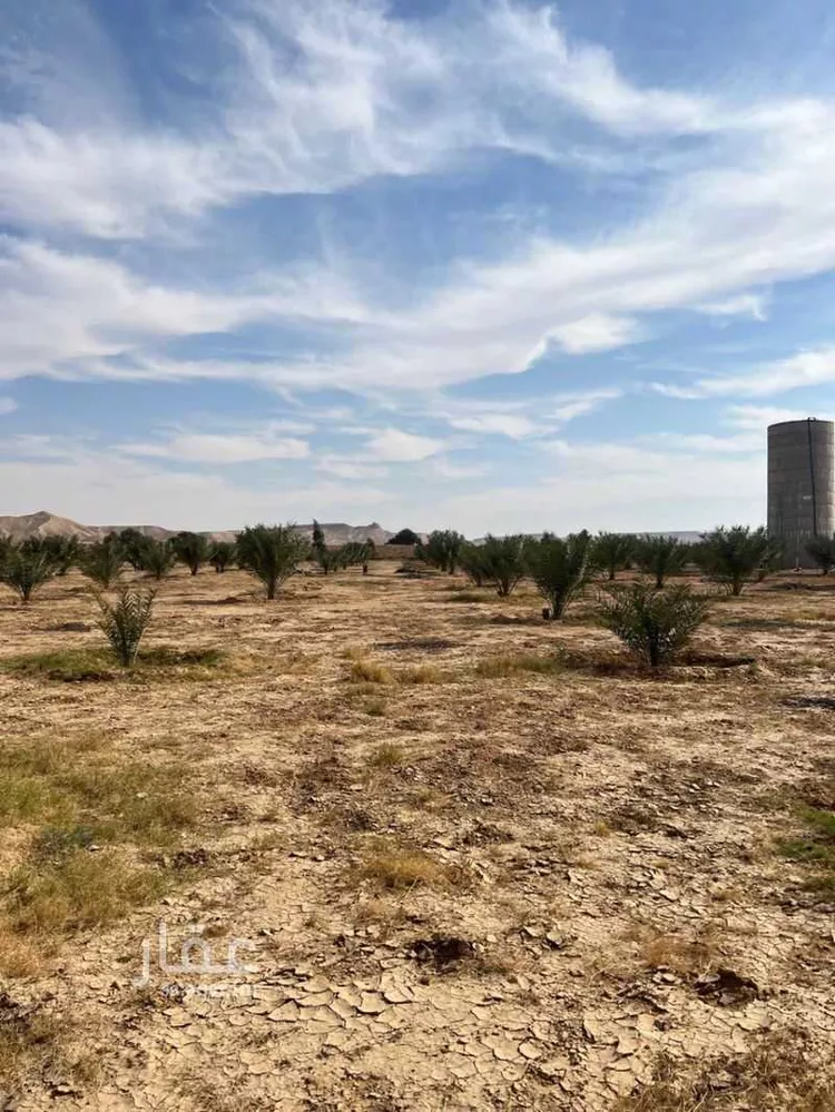 مزرعة للبيع في حي مزارع الداهنه (القويطير الادني), مدينة مزارع الداهنه (القويطير الادني), منطقة الرياض صورة 3