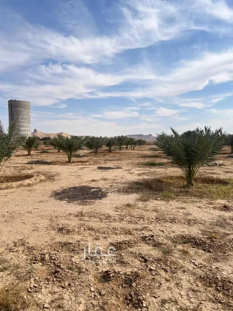 Farm for Sale in Al Majmaah King Salman