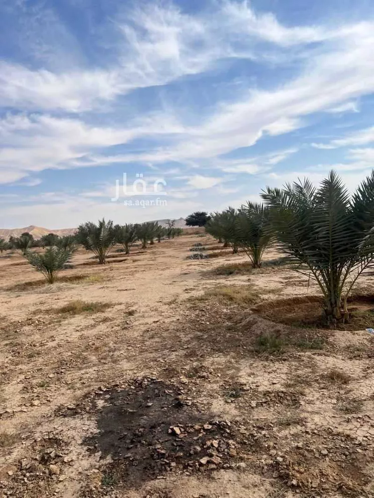 مزرعة للبيع في حي مزارع الداهنه (القويطير الادني), مدينة مزارع الداهنه (القويطير الادني), منطقة الرياض صورة 2