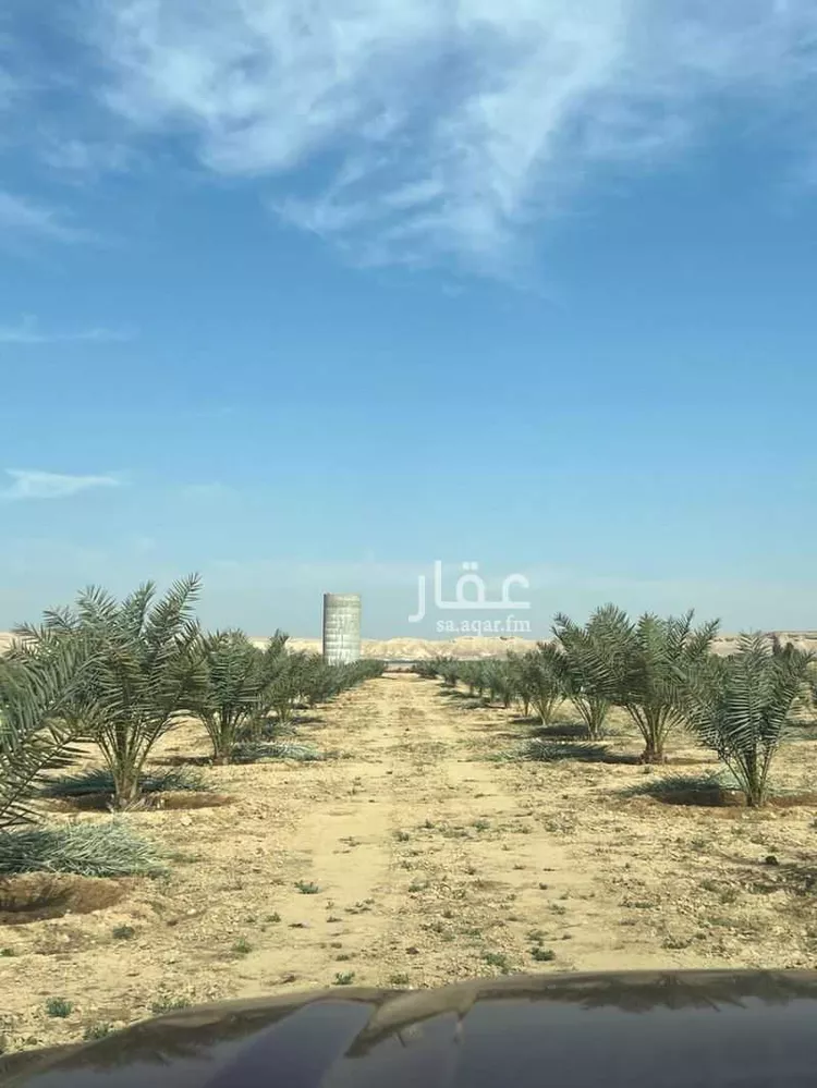مزرعة للبيع في حي مزارع الداهنه (القويطير الادني), مدينة مزارع الداهنه (القويطير الادني), منطقة الرياض صورة 5