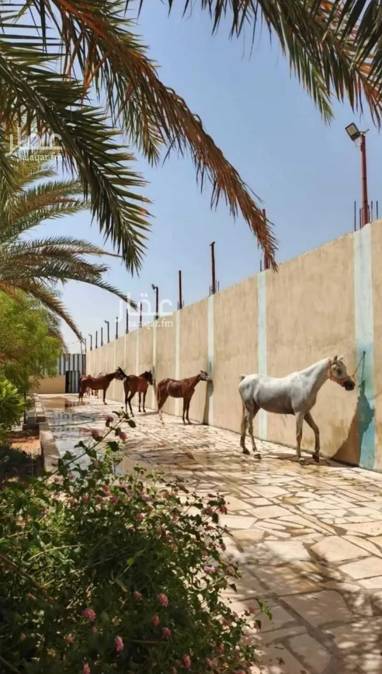 مزرعة للبيع في شارع الدلم 541, حي الرغيب, مدينة الرغيب, منطقة الرياض صورة 5