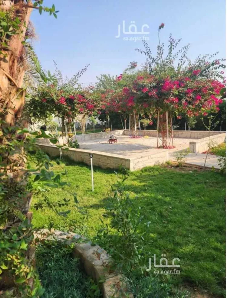 مزرعة للبيع في شارع الدلم 541, حي الرغيب, مدينة الرغيب, منطقة الرياض صورة 4