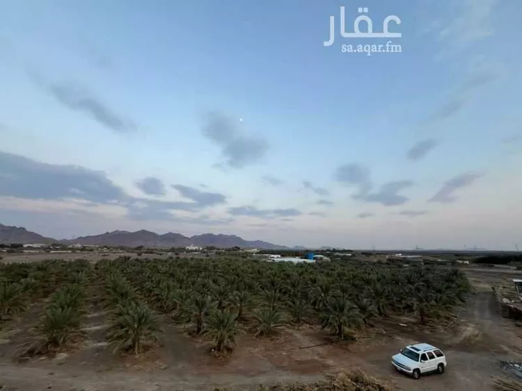مزرعة للبيع في شارع عبدالمحسن المنيع ، حي الهدراء ، المدينة المنورة ، منطقة المدينة المنورة صورة 2