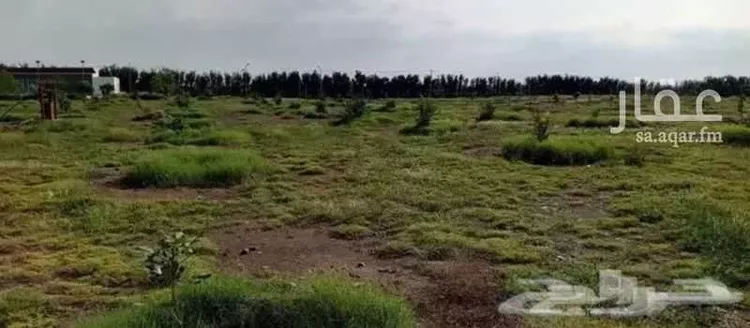 مزرعة للبيع في مدينة خليص, منطقة مكة المكرمة صورة 2