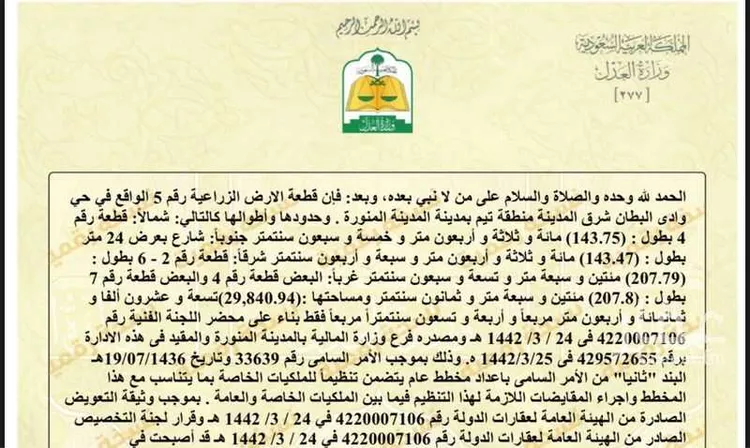 مزرعة للبيع في شارع 24, حي وادي البطان, مدينة المدينة المنورة, منطقة المدينة المنورة صورة 2