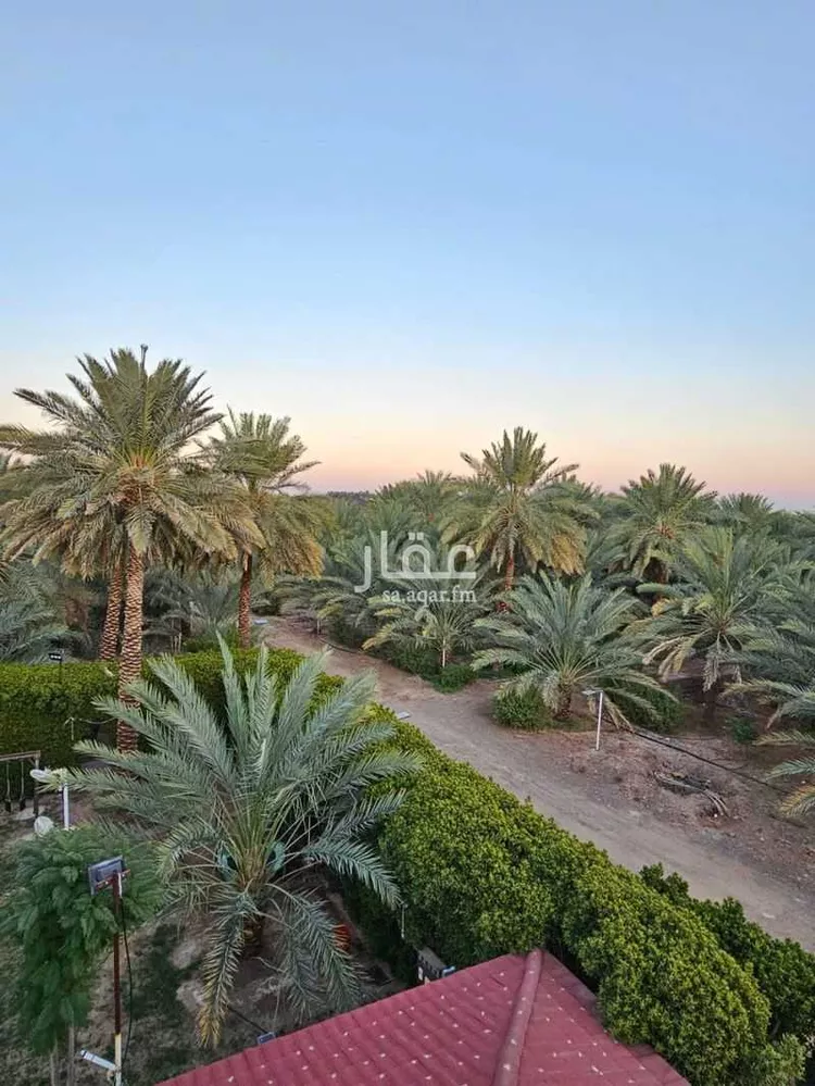 مزرعة للبيع في حي الدويخلة, مدينة المدينة المنورة, منطقة المدينة المنورة 6