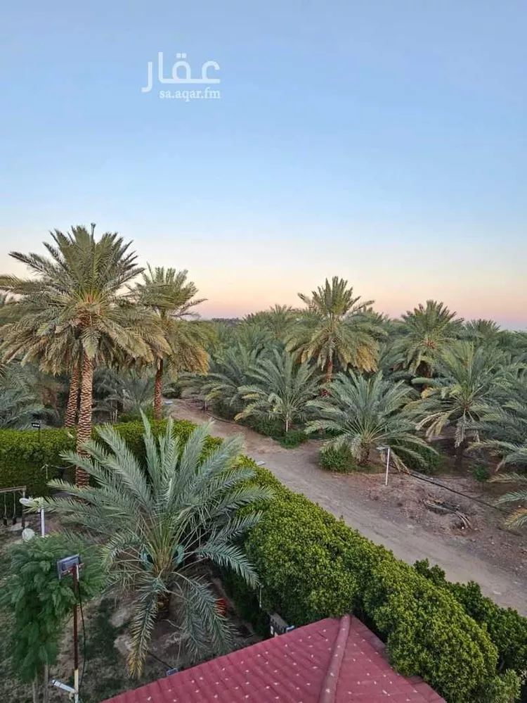مزرعة للبيع في حي الدويخلة, مدينة المدينه المنوره, منطقة المدينة المنورة صورة 3