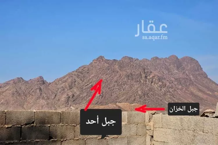 مزرعة للبيع في حي الدويخلة, مدينة المدينة المنورة, منطقة المدينة المنورة 6