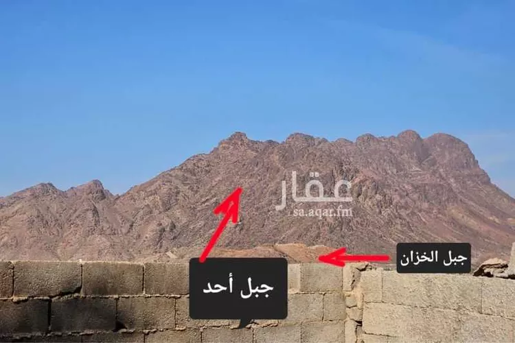 مزرعة للبيع في شارع عبدالله بن الفضل, حي الدويخلة, مدينة المدينه المنوره, منطقة المدينة المنورة صورة 5