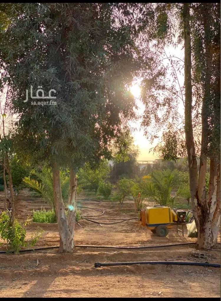 مزرعة للبيع في شارع عبدالرحمن الاسنوي, حي تبراك, مدينة الجلة, منطقة الرياض صورة 2