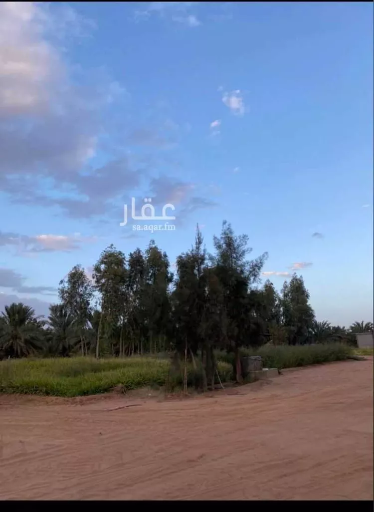 مزرعة للبيع في شارع عبدالرحمن الاسنوي, حي تبراك, مدينة الجلة, منطقة الرياض