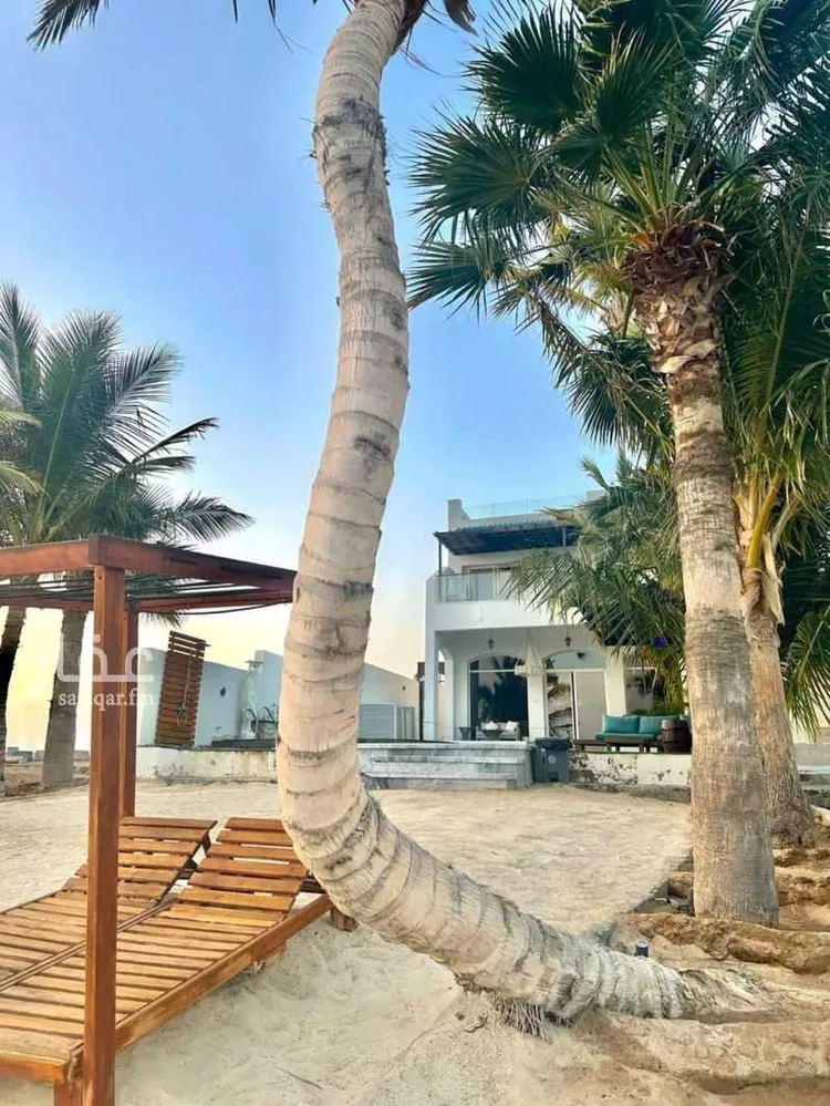 فيلا للإيجار في شارع جدة 849, حي درة العروس, مدينة جدة, منطقة مكة المكرمة صورة 3