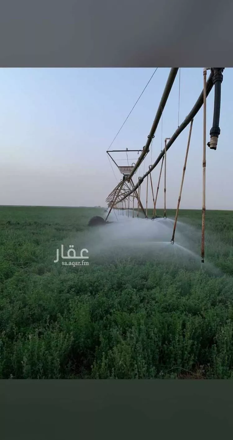 مزرعة للبيع في المملكة العربية السعودية صورة 2