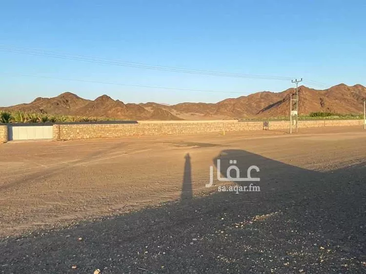 أرض للبيع في شارع خالد بن الوليد, حي المليليح, مدينة المدينه المنوره, منطقة المدينة المنورة صورة 4