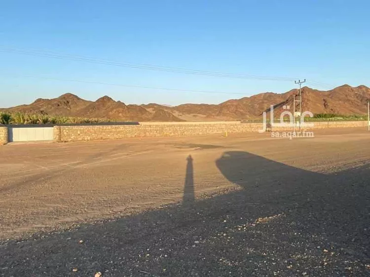 أرض للبيع في شارع طريق تبوك المدينة, حي المليليح, مدينة المدينة المنورة, منطقة المدينة المنورة صورة 4