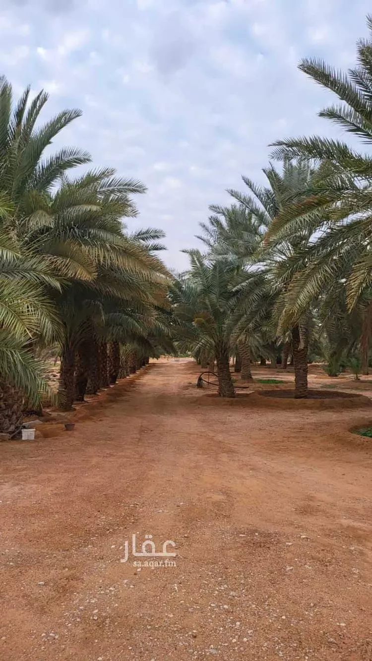 مزرعة للبيع في شارع شقراء 525 ، شقراء ، شقراء صورة 2