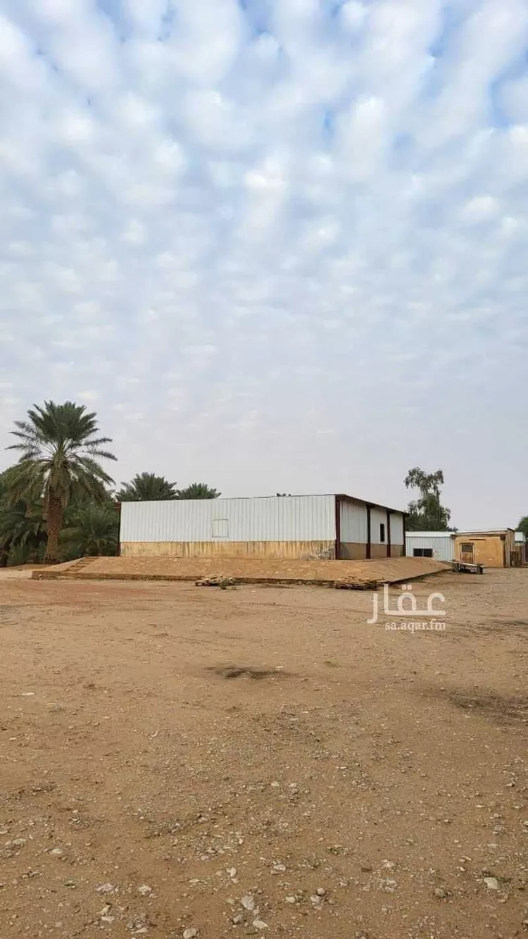 مزرعة للبيع في شارع شقراء 525 ، شقراء ، شقراء صورة 4