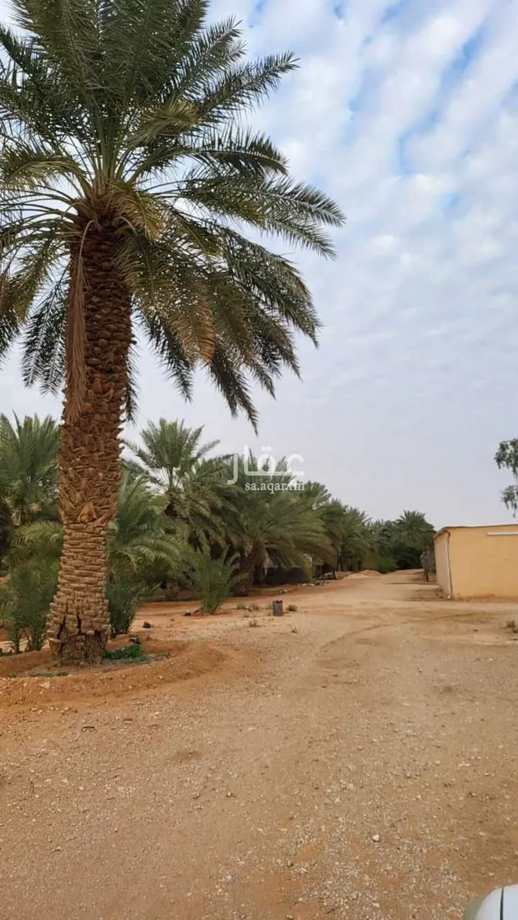 مزرعة للبيع في شارع شقراء 525 ، شقراء ، شقراء صورة 5