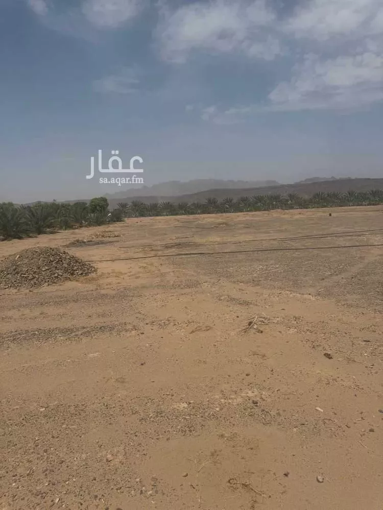 أرض للإيجار في شارع المندسة 1227, حي المندسة, مدينة المدينة المنورة, منطقة المدينة المنورة