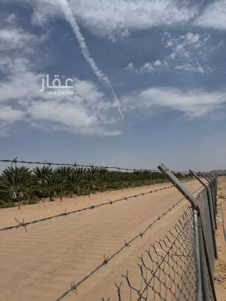 أرض للإيجار في شارع المندسة 1227, حي المندسة, مدينة المدينة المنورة, منطقة المدينة المنورة صورة 2