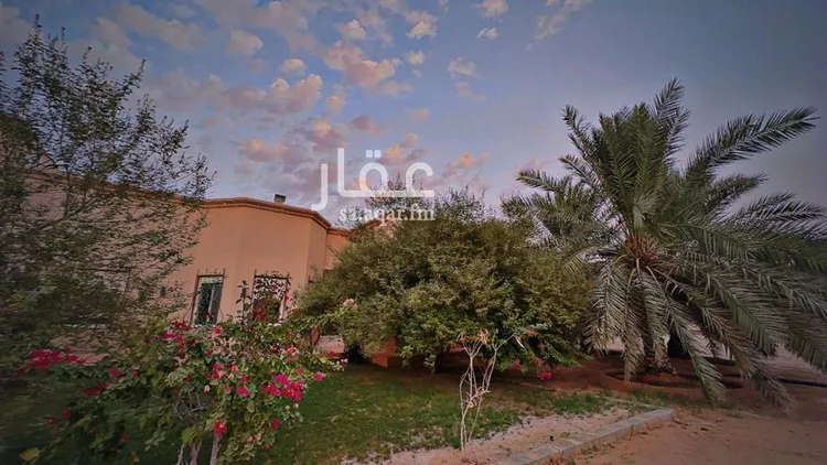 مزرعة للبيع في شارع اسماعيل المؤذن, حي الجلدة, مدينة عنيزة, منطقة القصيم صورة 3