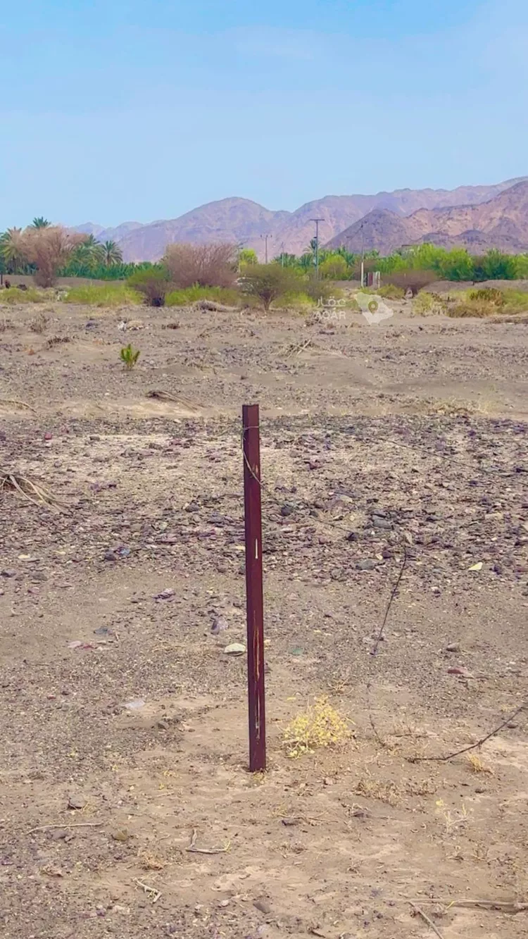 Farm for Sale in Medina Al Balqaa صورة 2