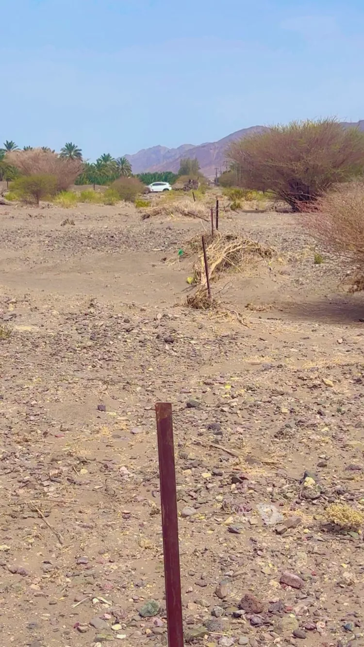 Farm for Sale in Medina Al Balqaa صورة 3