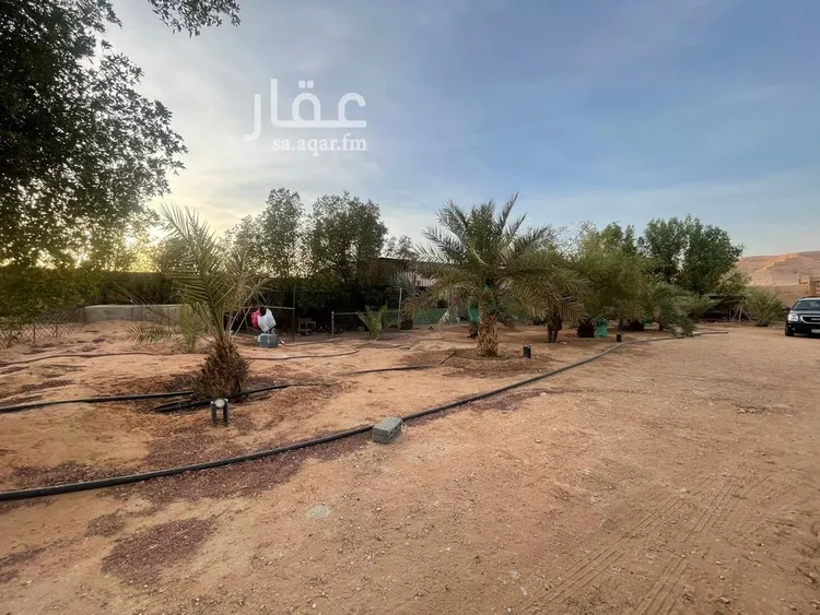 مزرعة للبيع في مدينة قريه ديراب, منطقة الرياض صورة 4