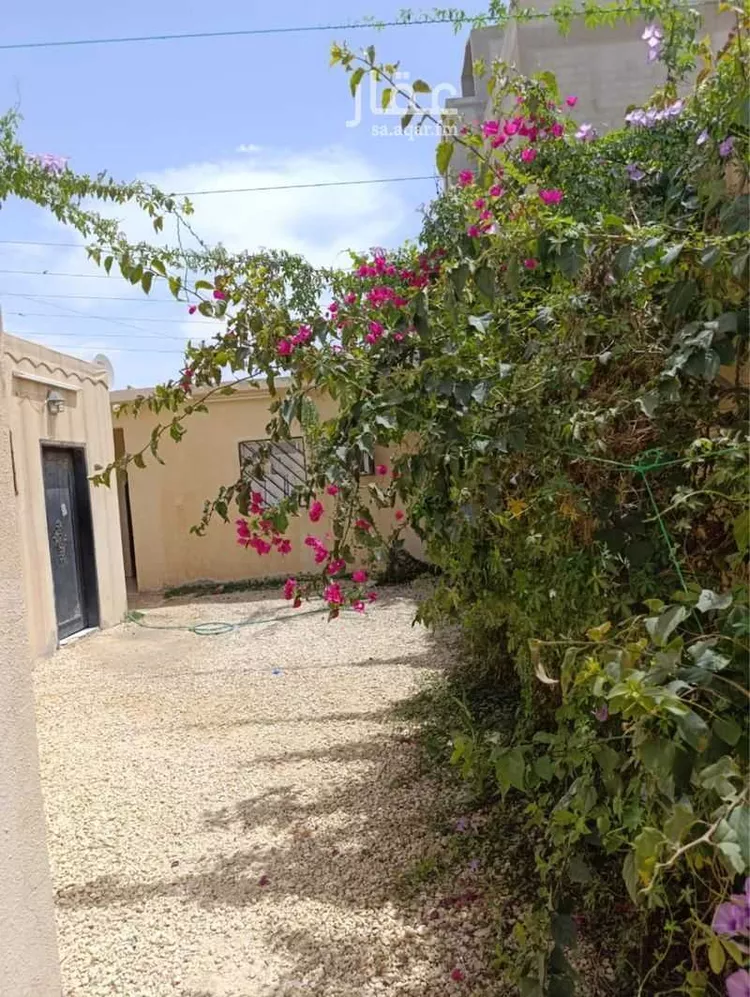 استراحة للإيجار في شارع الراغب الأصبهاني, حي المعيزيلة, مدينة الرياض, منطقة الرياض صورة 5