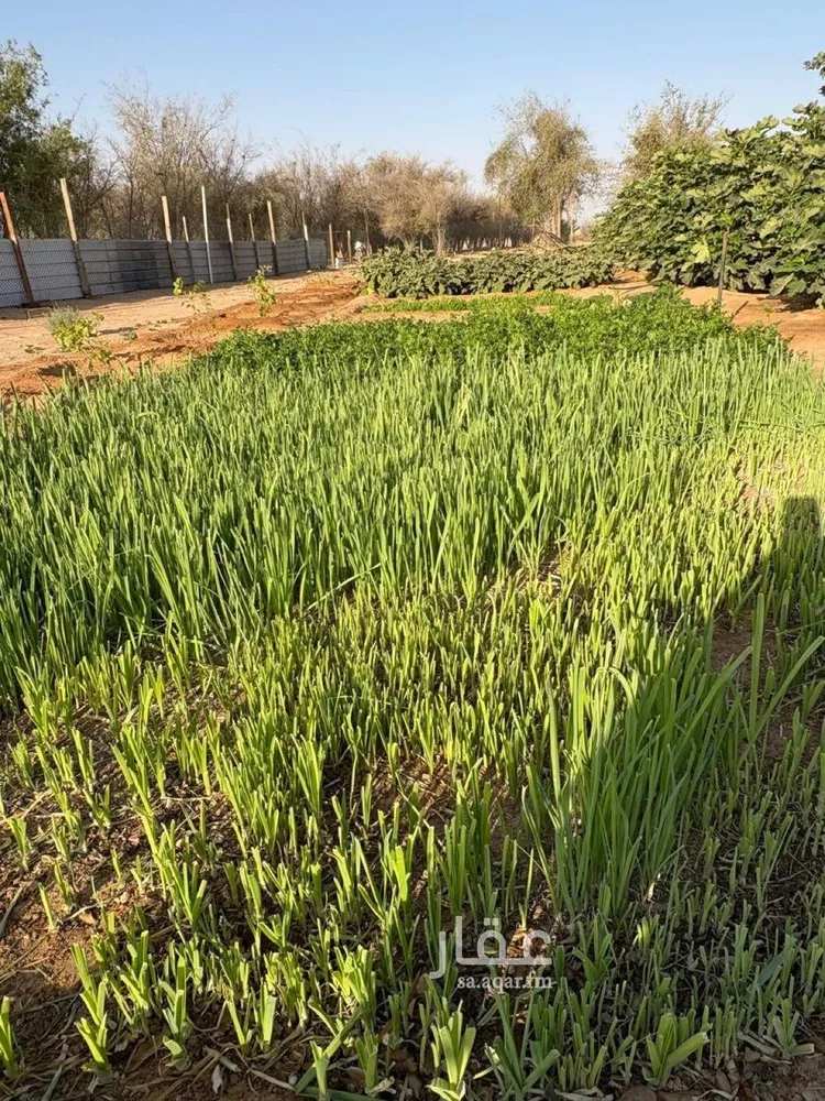 مزرعة للبيع في مدينة هجره دبيان, منطقة الرياض 17