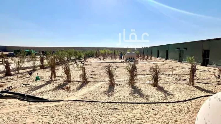 أرض للبيع في شارع 15ج, حي صلاصل, مدينة بقيق, المنطقة الشرقية صورة 5