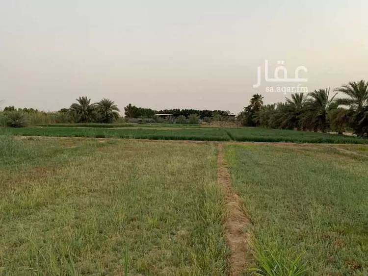 مزرعة للبيع في شارع رأس تنورة 1097 ، الجعيمة ، راس تنورة صورة 4