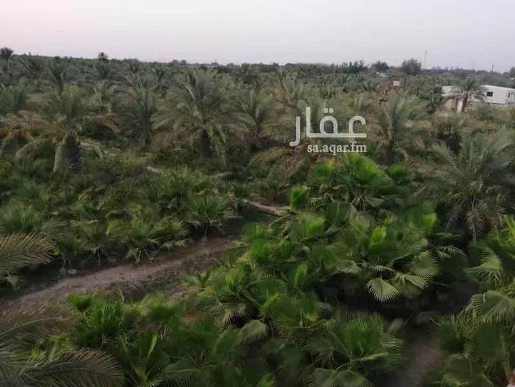 مزرعة للبيع في شارع رأس تنورة 1097 ، الجعيمة ، راس تنورة صورة 2