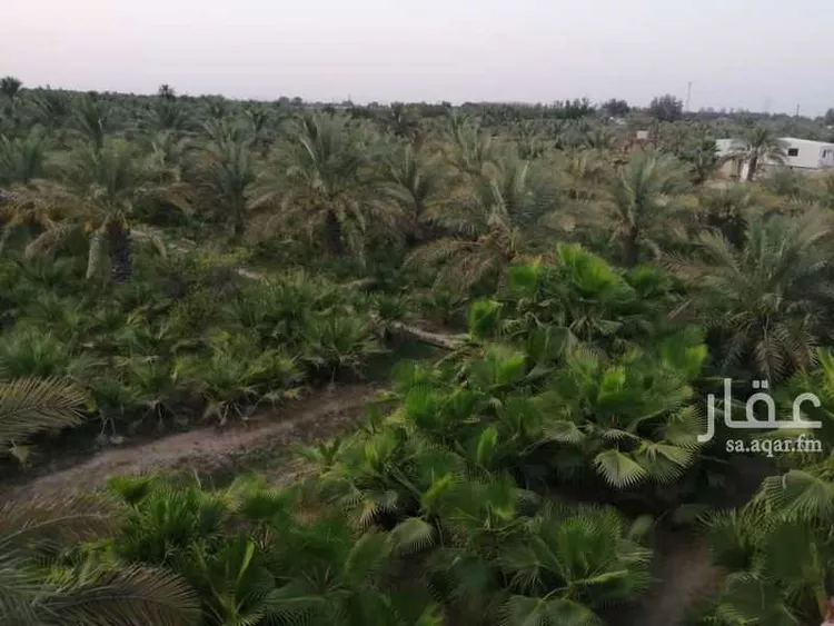 Farm for Sale in Safwa Ad Duraydi