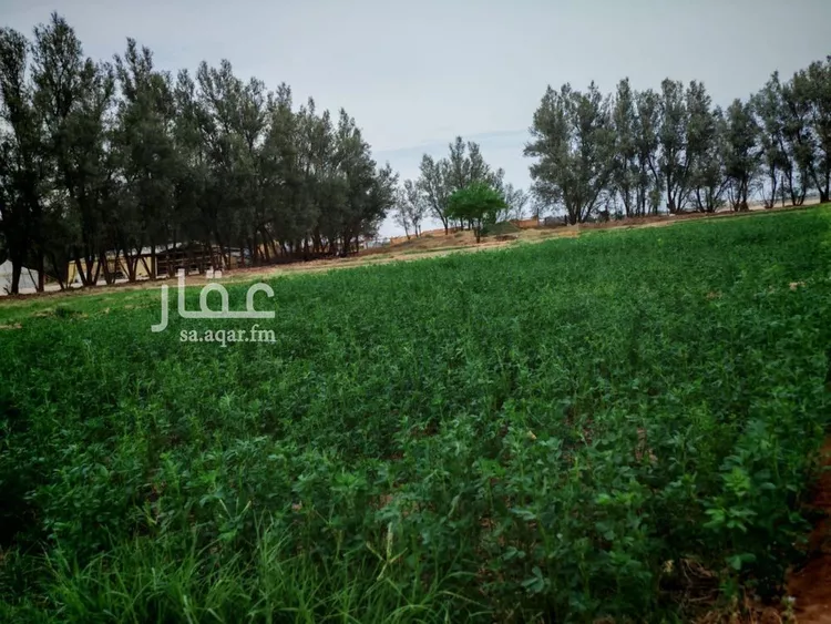 مزرعة للبيع في شارع حفر الباطن 89, مدينة حفر الباطن, المنطقة الشرقية صورة 4