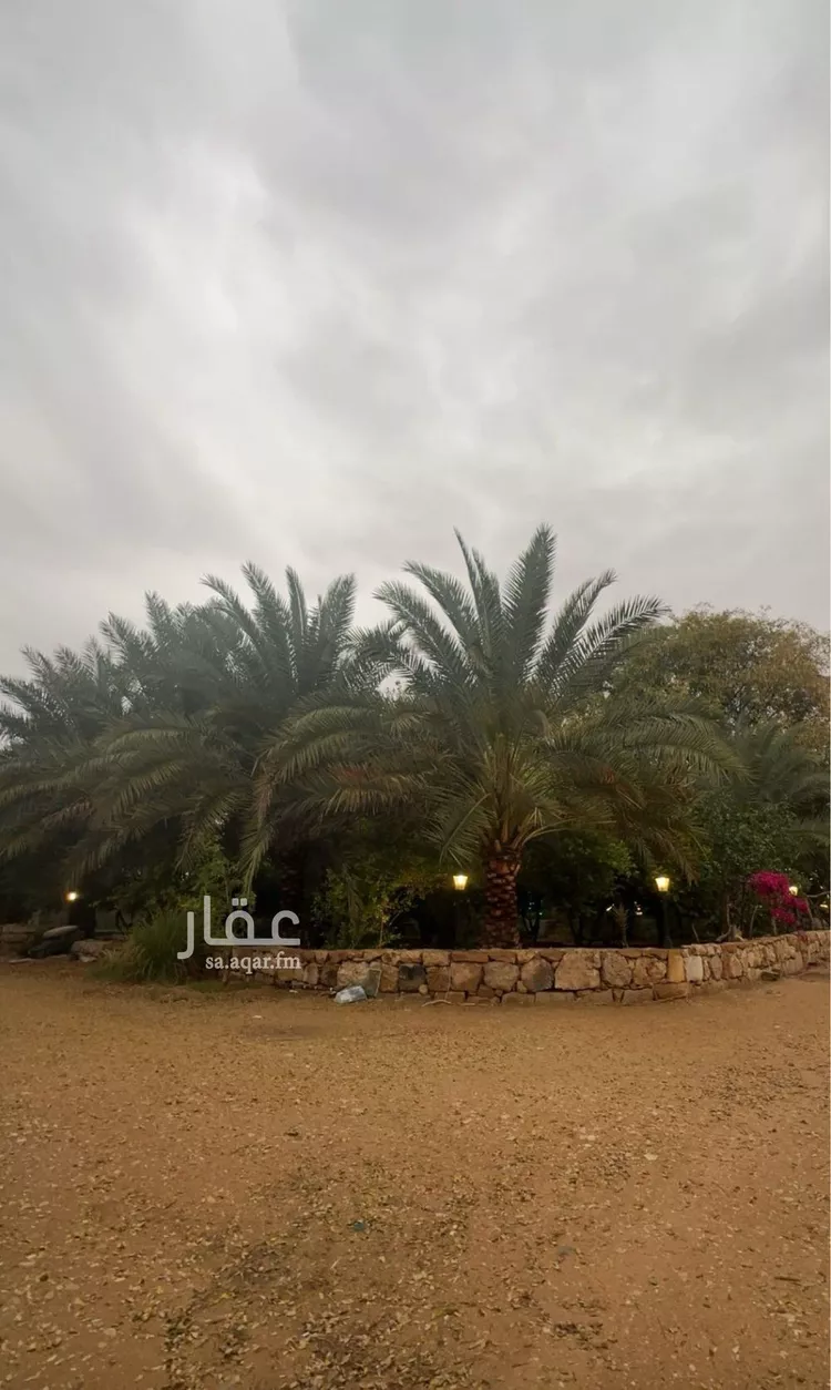 أرض للبيع في مدينة مخطط استراحات العماريه, منطقة الرياض صورة 4