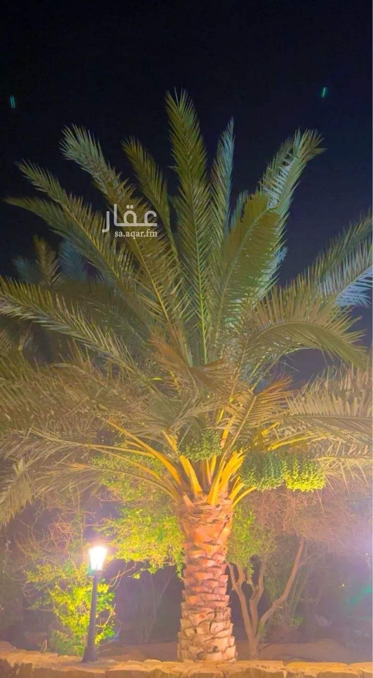 أرض للبيع في مدينة مخطط استراحات العماريه, منطقة الرياض صورة 4