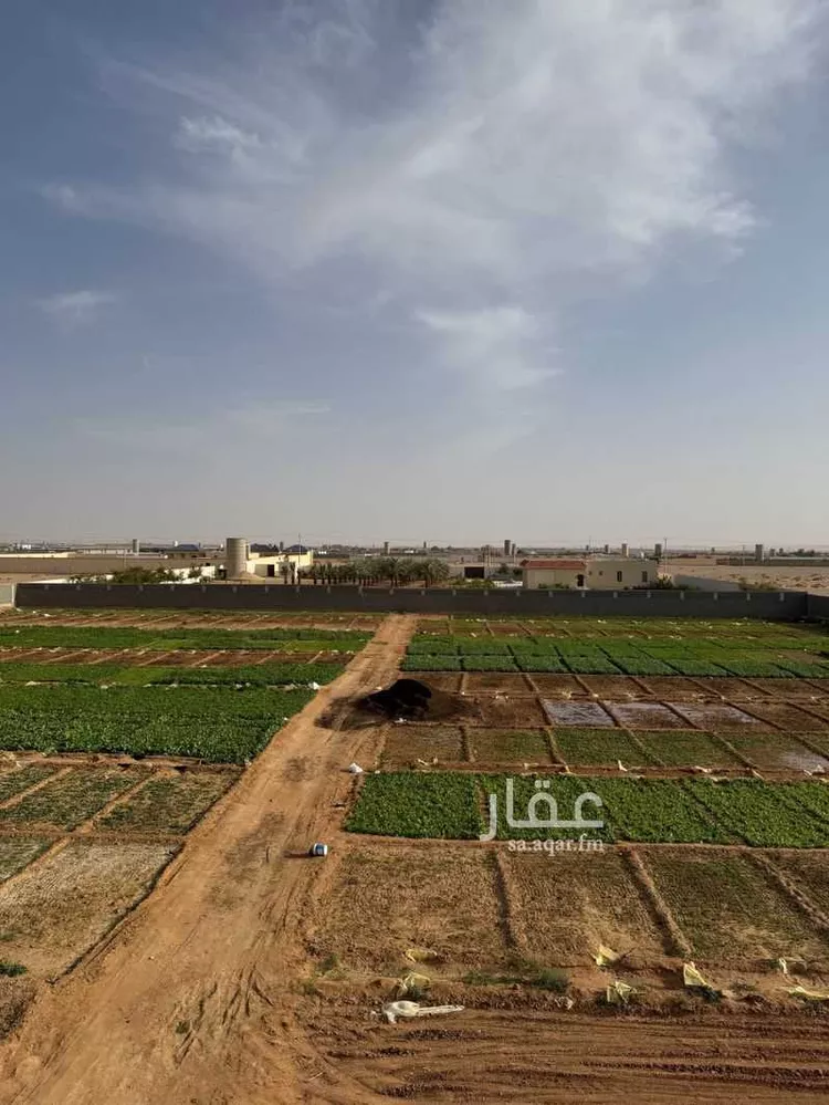 مزرعة للبيع في حي مزارع البطينه والفرعه, مدينة مزارع البطينه والفرعه, منطقة الرياض صورة 2