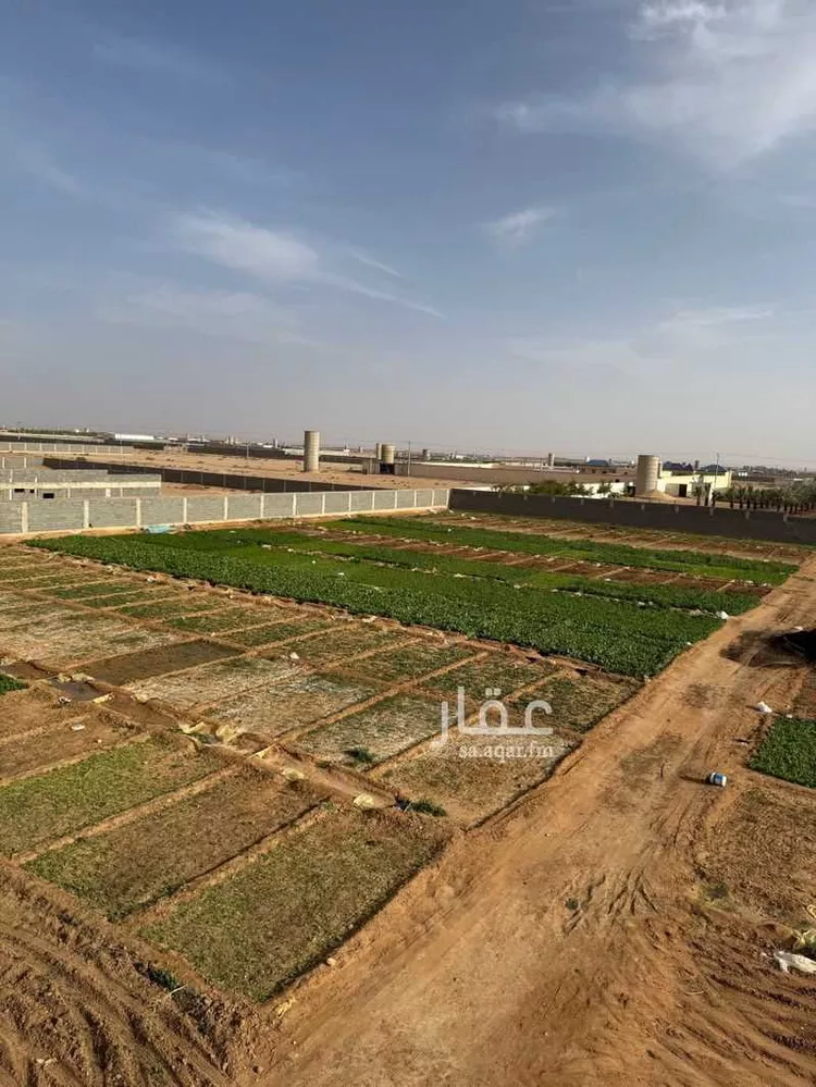 مزرعة للبيع في حي مزارع البطينه والفرعه, مدينة مزارع البطينه والفرعه, منطقة الرياض صورة 4