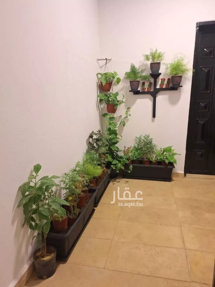 شقة للإيجار في شارع شارع اسطنبول, حي الفيحاء, مدينة الرياض, منطقة الرياض صورة 3