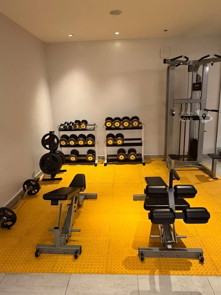 Apartment for Rent in Riyadh Al Olaya 19