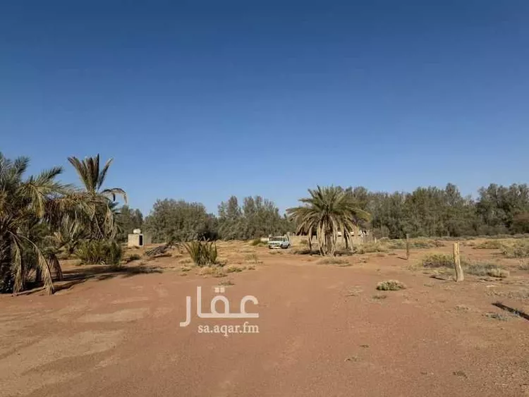 Farm for Sale in Hail Al Suwaflah صورة 2